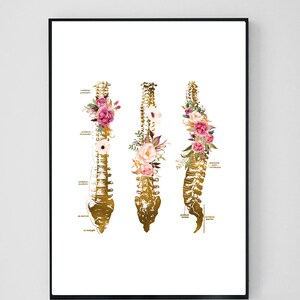 Puede incluir: Una ilustraci&oacute;n anat&oacute;mica dorada de la columna vertebral humana con acentos florales. La columna vertebral est&aacute; dividida en tres secciones: cervical, tor&aacute;cica y lumbar. Cada secci&oacute;n est&aacute; adornada con flores rosas y blancas.