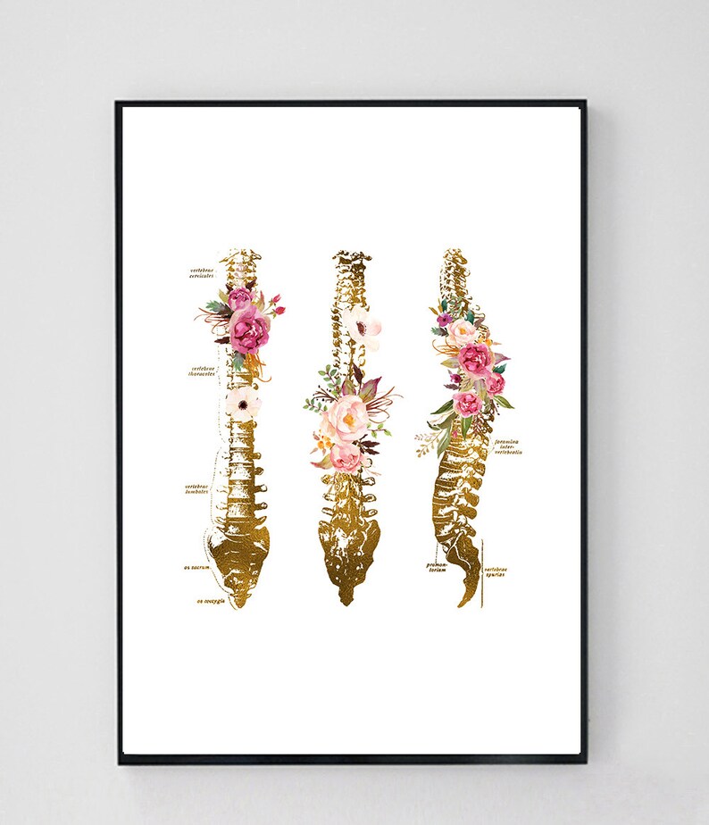Puede incluir: Una ilustraci&oacute;n anat&oacute;mica dorada de la columna vertebral humana con acentos florales. La columna vertebral est&aacute; dividida en tres secciones: cervical, tor&aacute;cica y lumbar. Cada secci&oacute;n est&aacute; adornada con flores rosas y blancas.