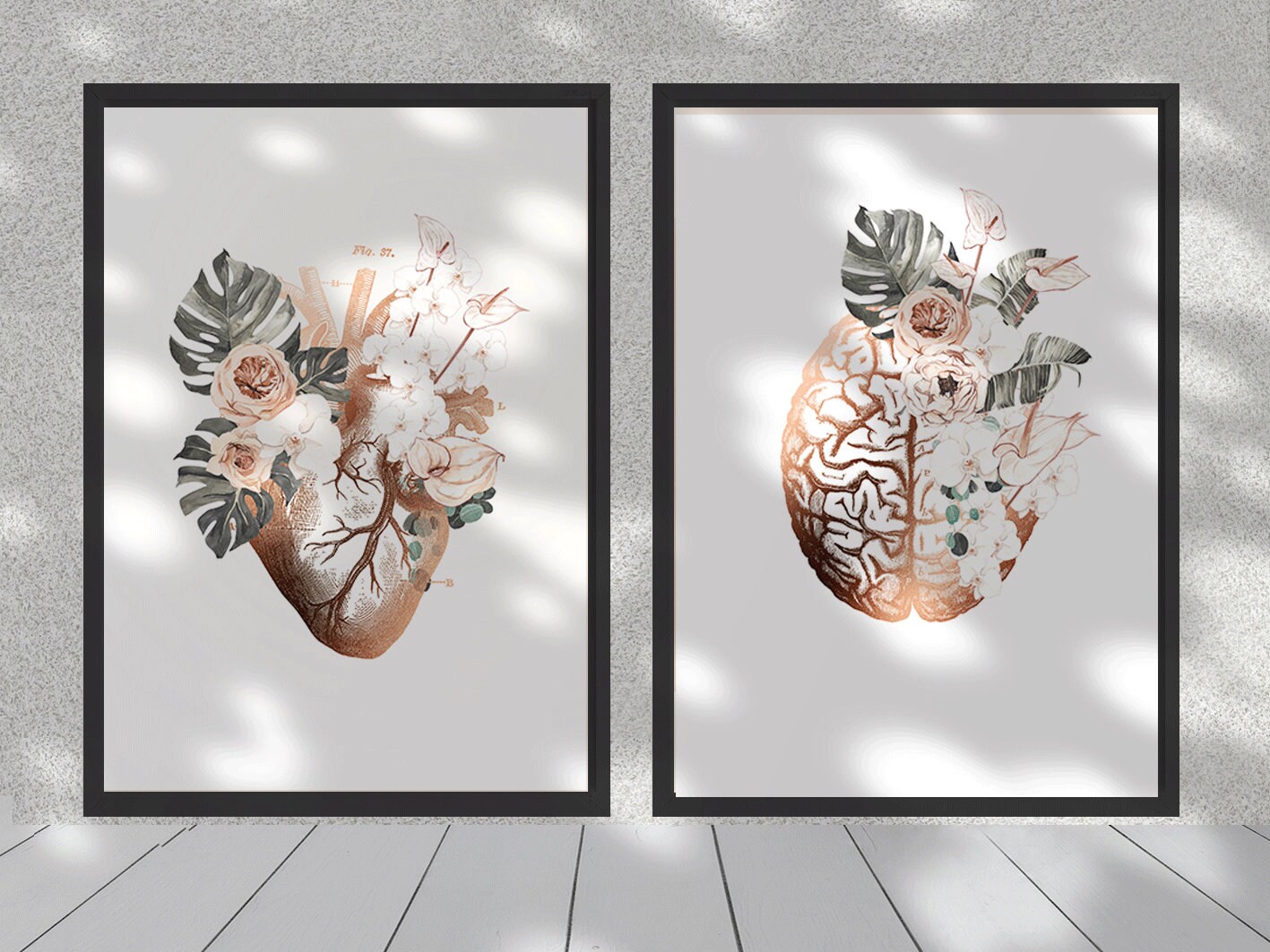 Heart and Brain Anatomy Art Print Set for Medical Clinics and Doctor ...