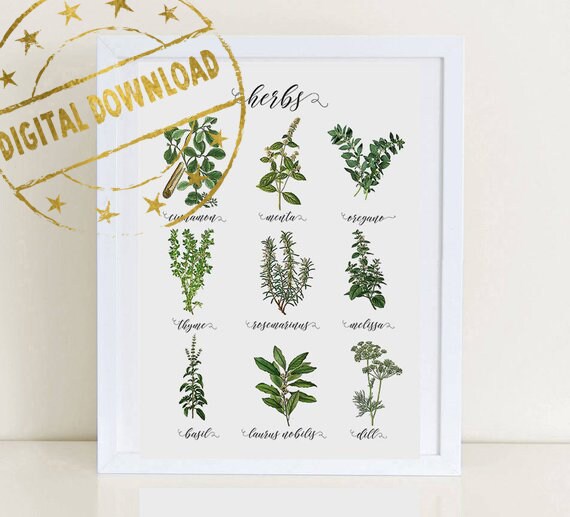 Printable Herbs Art Kitchen Print Kitchen Herbs Print Gift for | Etsy