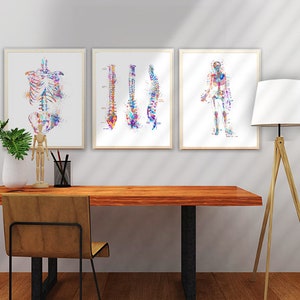 Anatomy Print Set, Medical Art Print, Anatomy Art Print, Printable Art, Doctor Gift, Art Print Set, Doctor Office Wall Decor Printable image 6