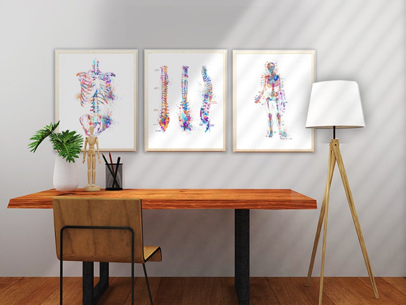 Anatomy Print Set, Medical Art Print, Anatomy Art Print, Printable Art, Doctor Gift, Art Print Set, Doctor Office Wall Decor Printable image 6