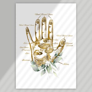 May include: A gold-toned illustration of a hand with labeled internal organs and body parts, including the head, brain, sinuses, ear, eye, lung, thyroid, stomach, and kidney. The artwork is accented with green leaves.