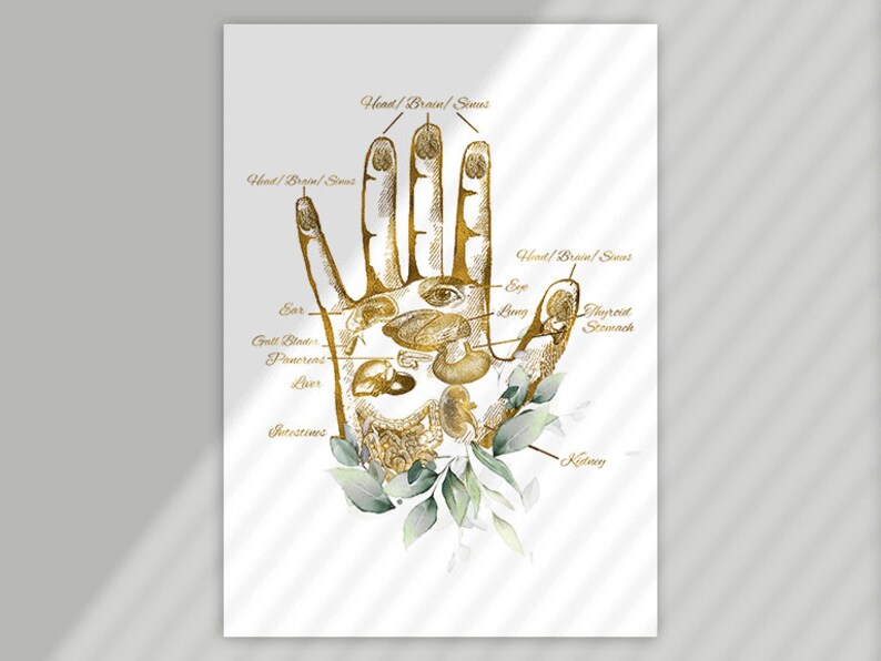 May include: A gold-toned illustration of a hand with labeled internal organs and body parts, including the head, brain, sinuses, ear, eye, lung, thyroid, stomach, and kidney. The artwork is accented with green leaves.