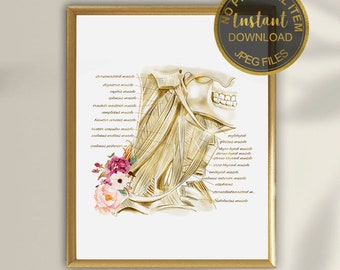 Anatomie nekspieren print, nekpijn poster, decor fysiotherapie kliniek, chiropractor kantoor kunst aan de muur, massagetherapeut afdrukbare