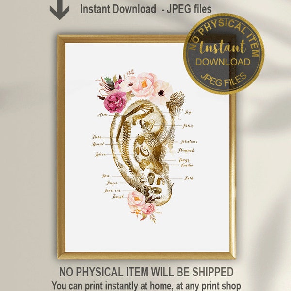 EAR REFLEXOLOGY CHART Etsy Canada