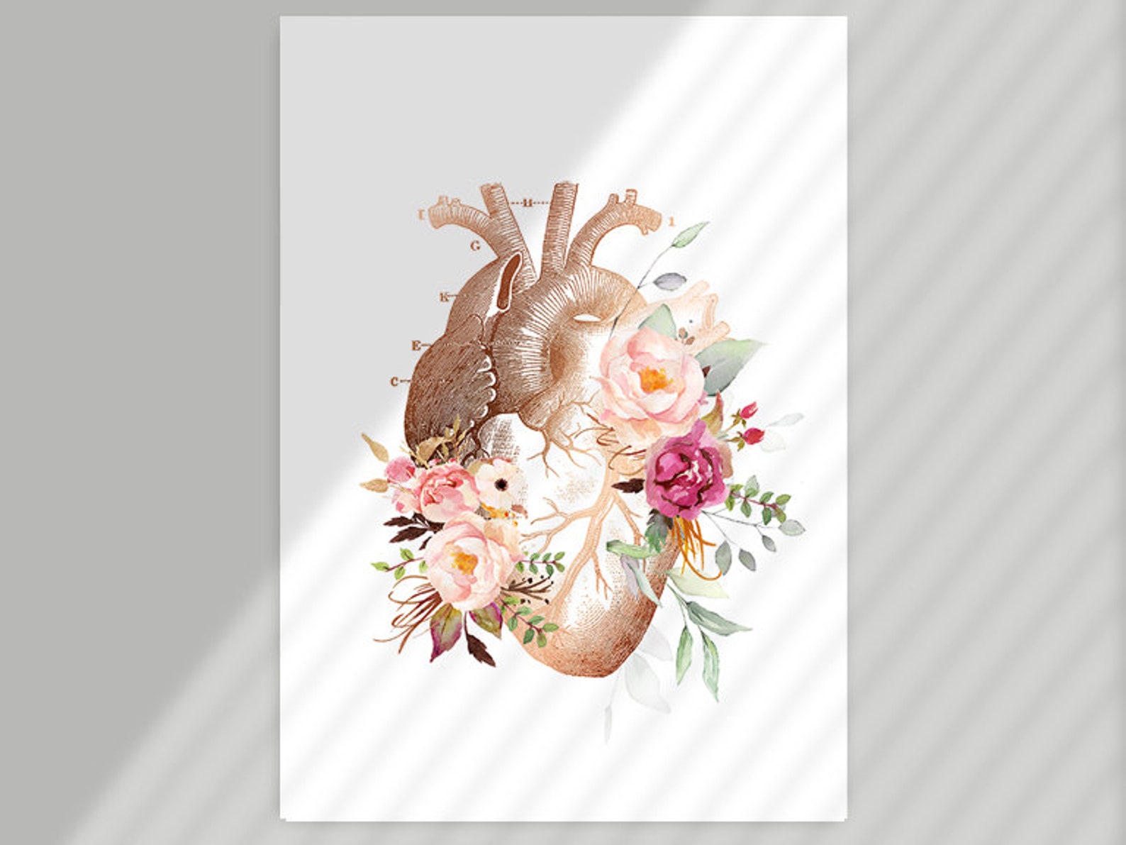 Floral Anatomical Heart Art Print, Medical Heart Anatomy Wall Art ...