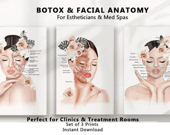 Esthetician Decor Set of 3 Prints, Facial Anatomy Wall Art, Face Anatomy Art, Med Spa Decor, Injector Office Wall Decor, Botox Poster