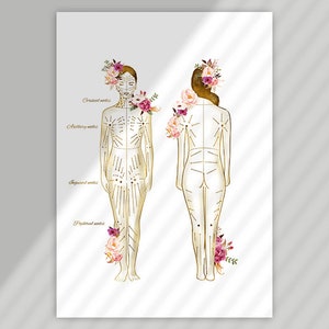 May include: A line drawing of a human body with gold lines and dots, showing acupuncture points. The drawing is surrounded by watercolor flowers in shades of pink and purple.