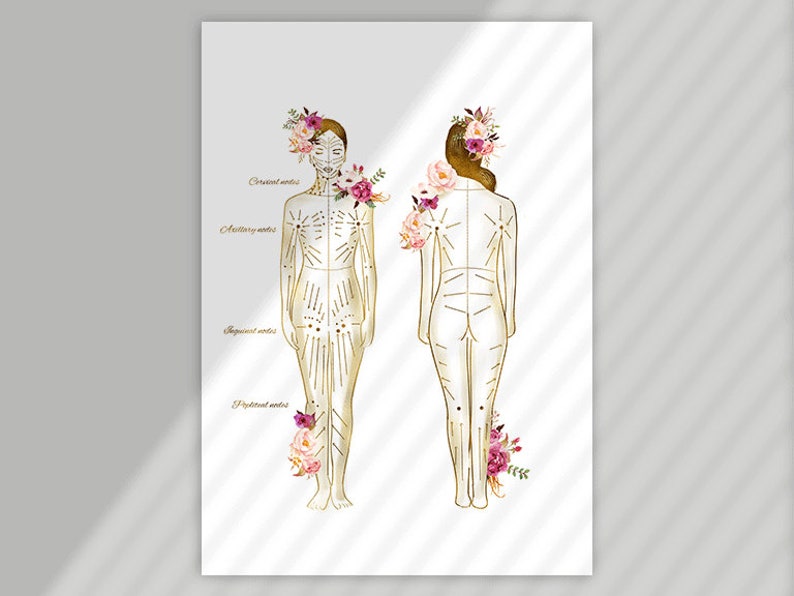 May include: A line drawing of a human body with gold lines and dots, showing acupuncture points. The drawing is surrounded by watercolor flowers in shades of pink and purple.