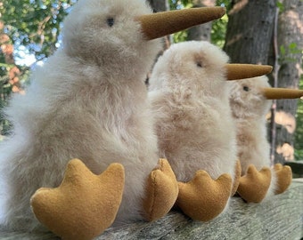 Kiwi Animal Etsy