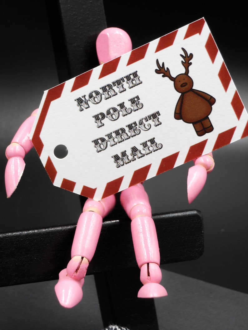 Blank on the back for your own message. North pole gift tag with Reindeer and candy stripe design