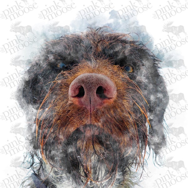 DIGITAL DOWNLOAD - Watercolor Wire-Haired Pointer  (5x7 inch, 300dpi, png, file)