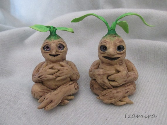 Little Mandragora Mandrake Harry Potter Hogwarts Etsy