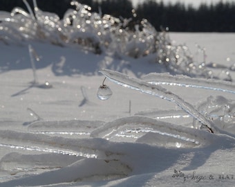 Romantische Winter Landschaft Fotodruck, Eissturm Fotografie, Schnee, Naturfotografie, Canadian, Wandkunst, FineArt-Fotodruck