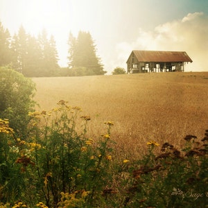 Rustic abandoned barn landscape photography, rural decay haunting abandoned building print, rustic farm architecture color photography print