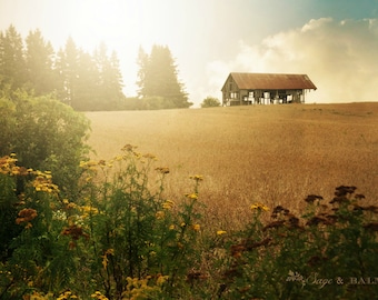 Fotografía de paisaje rústico granero abandonado, inquietante decadencia rural abandonado edificio granja impresión rústica arquitectura color fotografía impresión