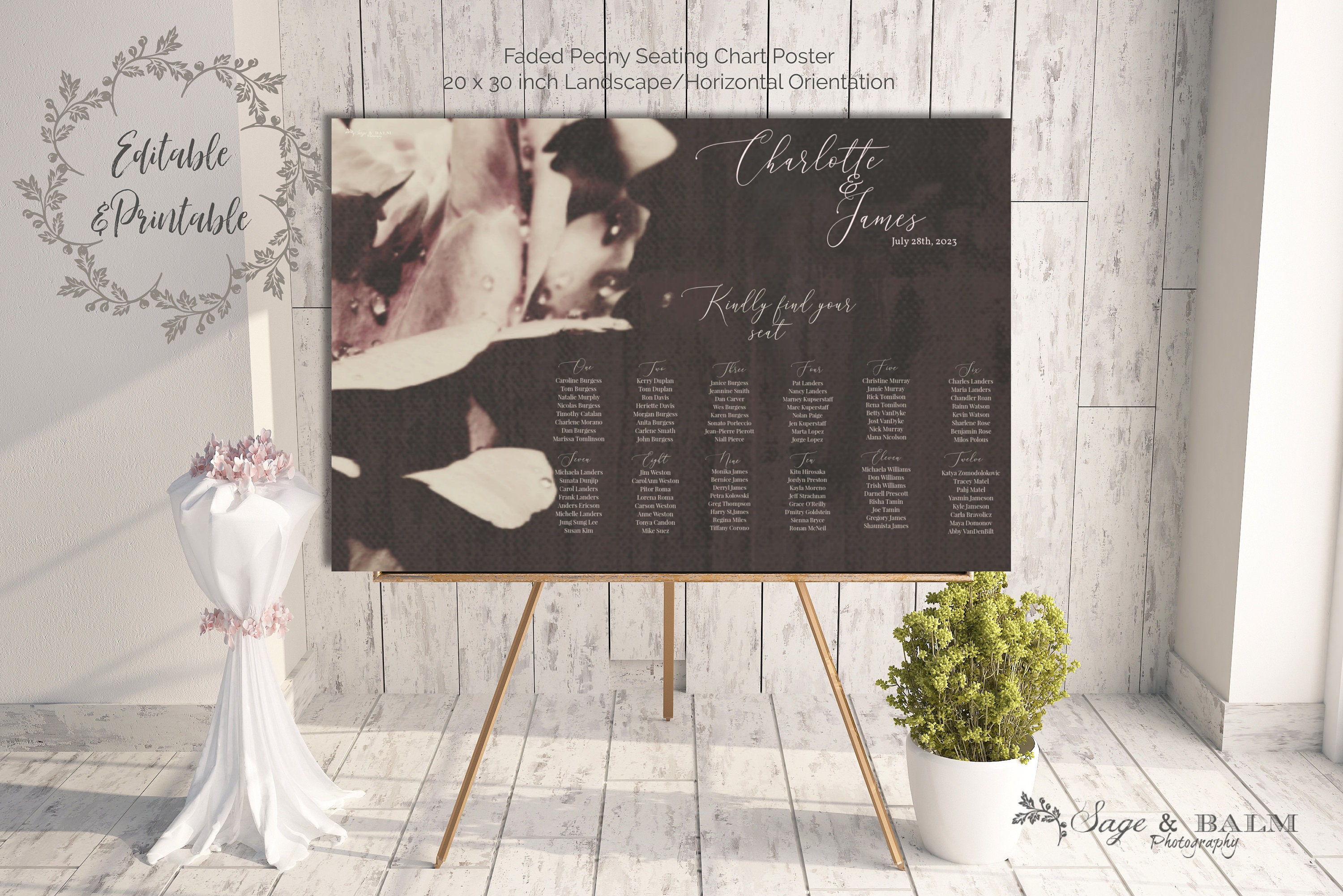 Jean Parker: A Legendary Film and Stage Actress, image size:3000x2001