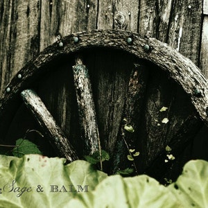 Sepia antique wagon wheel rustic fine photography print, rustic farm barn board print, cottage chic print, vintage rustic wedding inspo