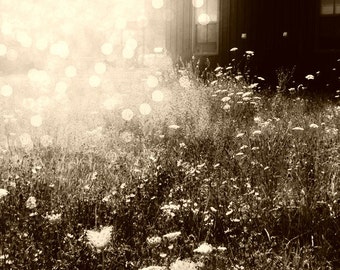 Dreamy garden photography, shabby-chic print, cottage style, bohemian, nature photography, landscape, sepia, ethereal, bokeh, wildflowers