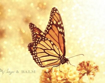 Beautiful soft orange and black Monarch butterfly fine art photography print, bokeh, macro, nature, dreamy, romantic, gift idea, wedding