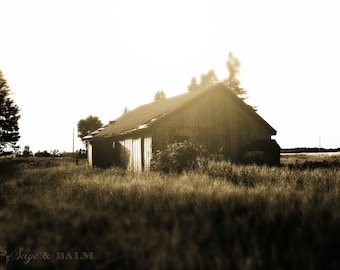 Barn photography, tilt-shift photography, barn ruins, abandoned barn, landscape photography, architecture print, haunting photo, sepia print