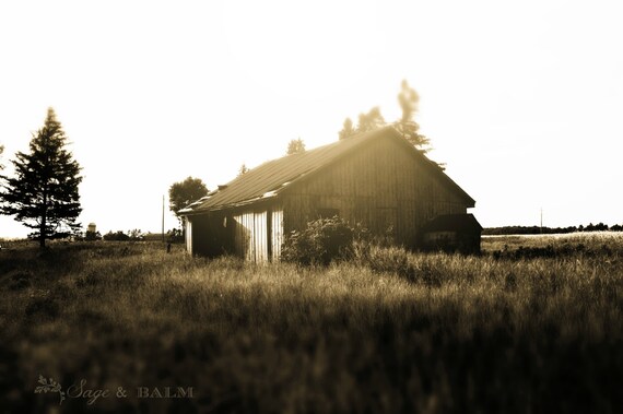 Barn Photography Tilt Shift Photography Barn Ruins Etsy