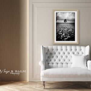Black and white tree photo print | single tree landscape print | black & white nature tree print | dramatic minimalist tree photography