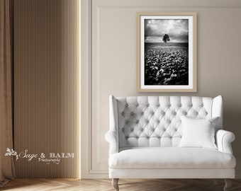 Black and white tree photo print | single tree landscape print | black & white nature tree print | dramatic minimalist tree photography