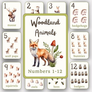 Cartes flash chiffres pour enfants, thème des animaux de la forêt, cartes flash à imprimer, école à la maison à imprimer, cartes jalon fille, cartes jalon bébé