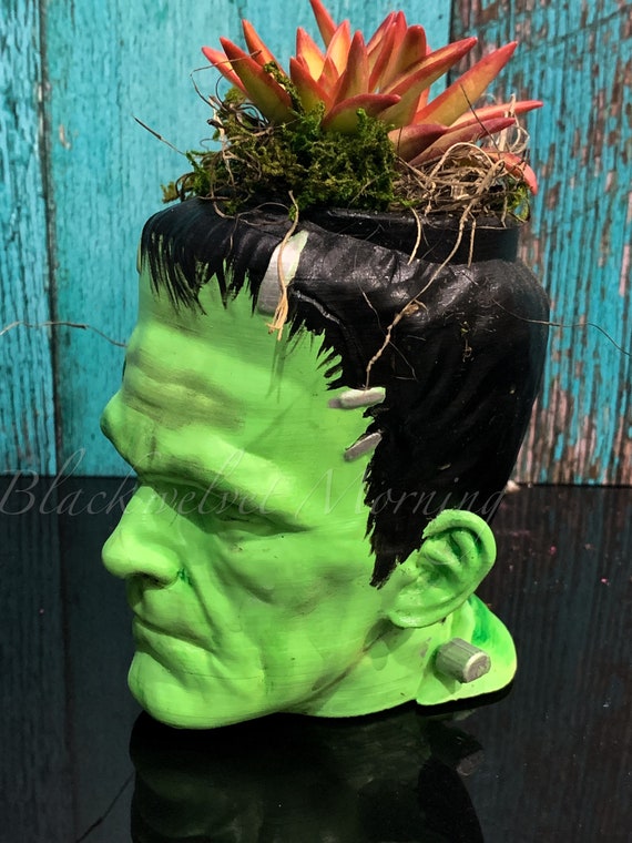 Frankenstein Planter, Monster Planter Pot, Head Planter, Classic Monster  Decor, Unique Gifts, Succulent Pots, Monster Gift, Unique Plant Pot - Etsy