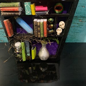 May include: A black coffin-shaped bookshelf with miniature books, skulls, a vase, and a glass eye. The bookshelf is decorated with purple and green accents.