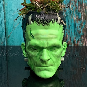 Frankenstein Planter, Monster Planter Pot, Head Planter, Classic Monster Decor, Unique Gifts, Succulent Pots, Monster Gift, Unique Plant pot