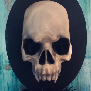 Op de afbeelding: Een gedetailleerde, gebroken witte schedelsculptuur met donkere oogkassen en een prominente neus, gemonteerd op een zwart ovaal. De schedel staat tegen een blauwgroene achtergrond, wat een opvallend contrast cre&euml;ert. Een Halloween- of gothic-thema decoratie.
