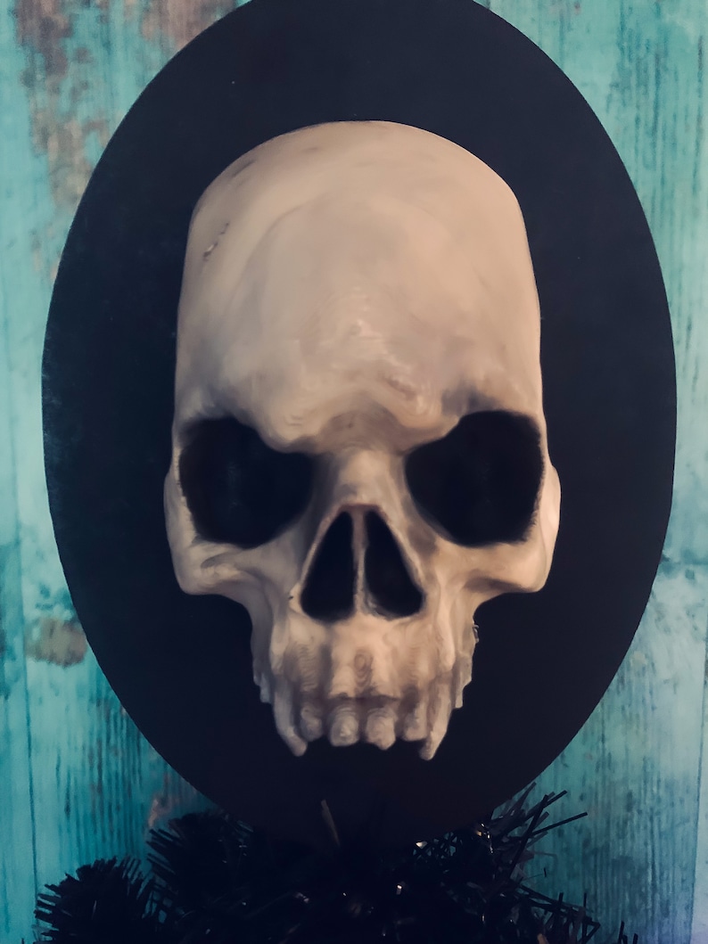 Op de afbeelding: Een gedetailleerde, gebroken witte schedelsculptuur met donkere oogkassen en een prominente neus, gemonteerd op een zwart ovaal. De schedel staat tegen een blauwgroene achtergrond, wat een opvallend contrast cre&euml;ert. Een Halloween- of gothic-thema decoratie.