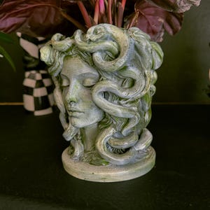 May include: A gray-green Medusa head planter with detailed facial features and snake-like hair. The planter is filled with a plant with dark red and green leaves. The planter is on a dark surface.