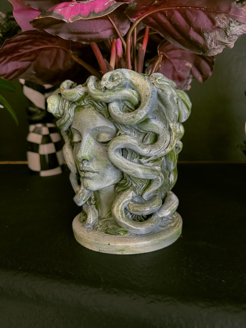May include: A gray-green Medusa head planter with detailed facial features and snake-like hair. The planter is filled with a plant with dark red and green leaves. The planter is on a dark surface.