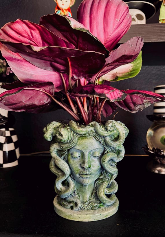 Medusa Head Planter | Gothic Mythology Decor | Snake Goddess Planter | Dark Aesthetic Plant Pot | Spooky Home Decor | Unique Gothic Gift