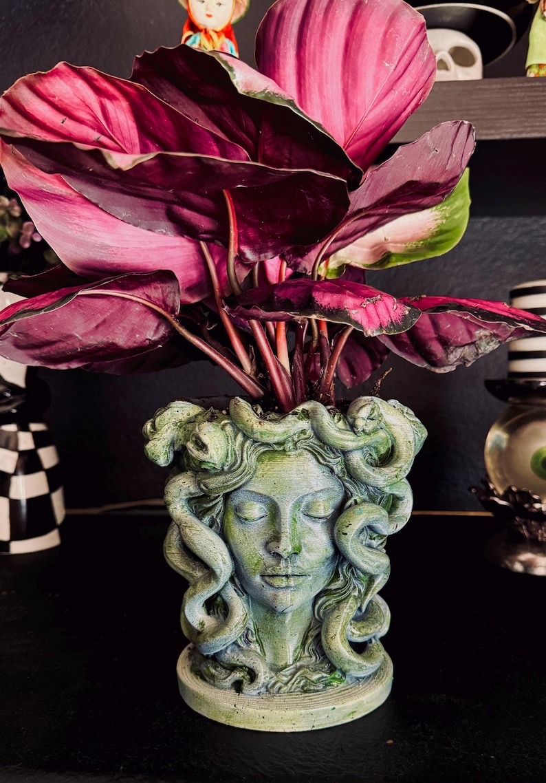 Medusa Head Planter | Gothic Mythology Decor | Snake Goddess Planter | Dark Aesthetic Plant Pot | Spooky Home Decor | Unique Gothic Gift image 1