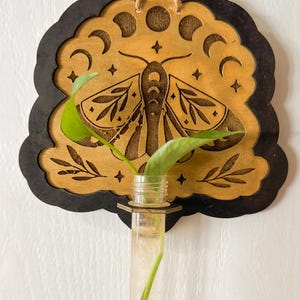 May include: Wooden wall hanging with a celestial moth design. The black-edged plaque features a laser-cut moth, crescent moons, and stars. A glass vial holds a green plant cutting, suspended by a jute cord and wooden bead.