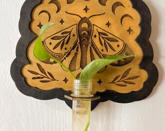 Luna Moth Wall Propagation Station: Gotisk Boho-växtdekor, present till växtälskare