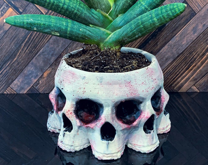 Skull Planter Pot, Gothic Planter, Goth Christmas Gift, Gothic Decor, Skull Bowl, Succulent Pots, Unique Christmas Gift, Creepy Planter,