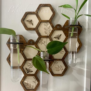 Hexagon Propagation Station Wall, Hexagon Planter, Honeycomb Planter, Clippings, Gift For Plant Lover, gift For Plant Mom, Bee Lover Gift