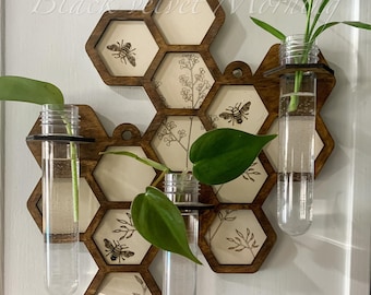 Hexagon Propagation Station Wall, Hexagon Planter, Honeycomb Planter, Clippings, Gift For Plant Lover, gift For Plant Mom, Bee Lover Gift