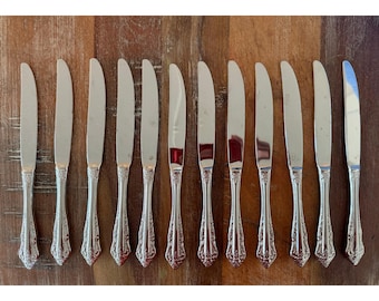 Wallace Silversmith Antique Baroque 18/10 Stainless Steel Dinner Knives Set 12