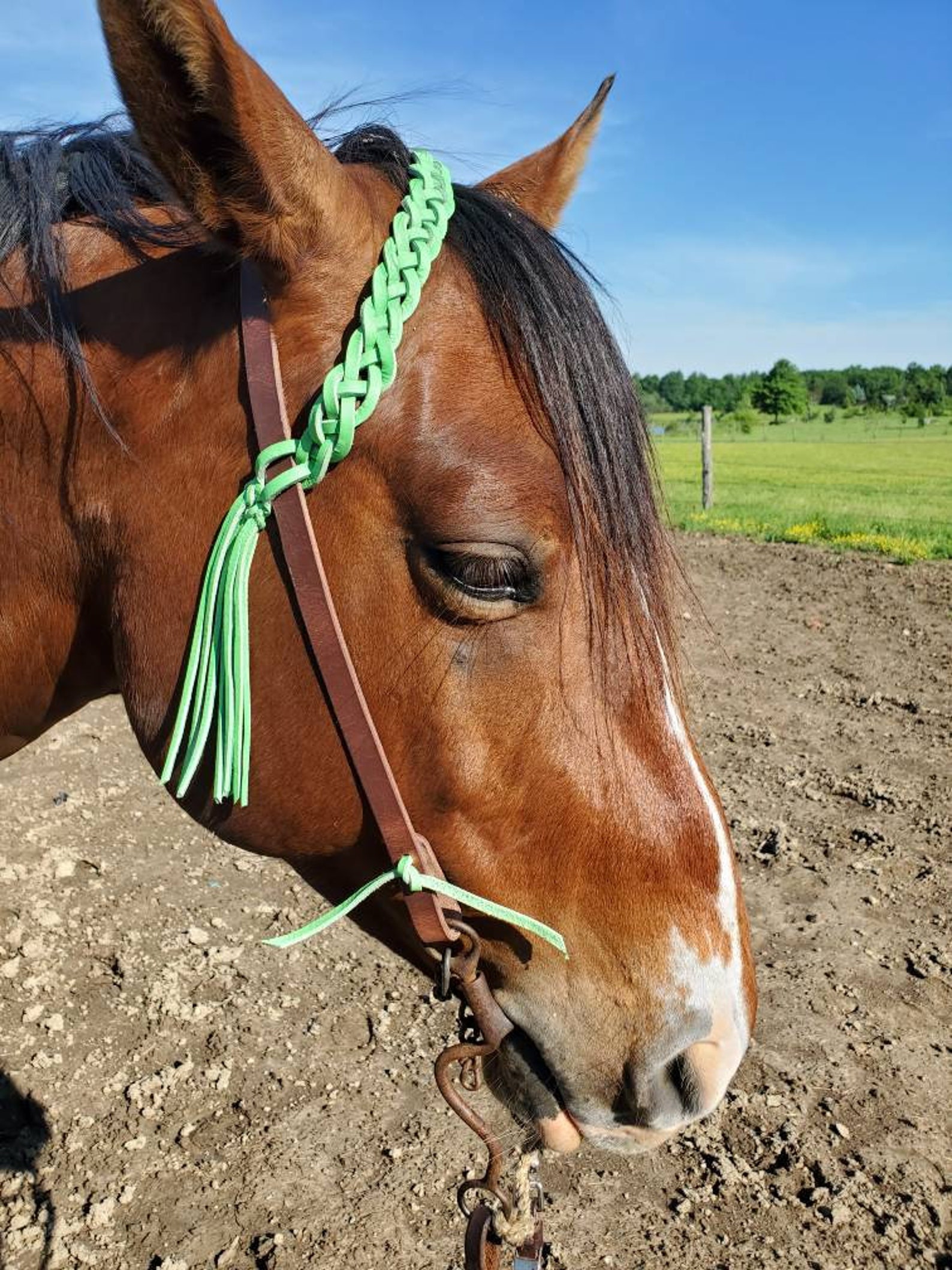 Horse headstall with fringe neon green lime green bridle Etsy