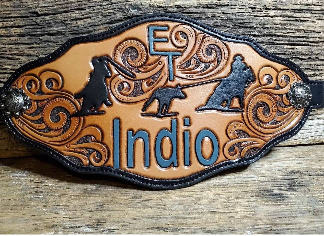 Custom Bronc Halter Style, Your Horses Name, Your Brand, Award. G&E  Leather