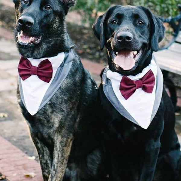 Dog tuxedo bandana, custom dog tuxedo, navy, black, light grey, dark grey, khaki, tanbowtie, custom colors, bowtie over the collar