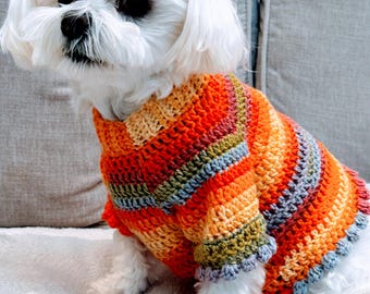 Crochet Pattern Small Dog Sweater, DK Dog Jumper, UK Terms (PDF Download)