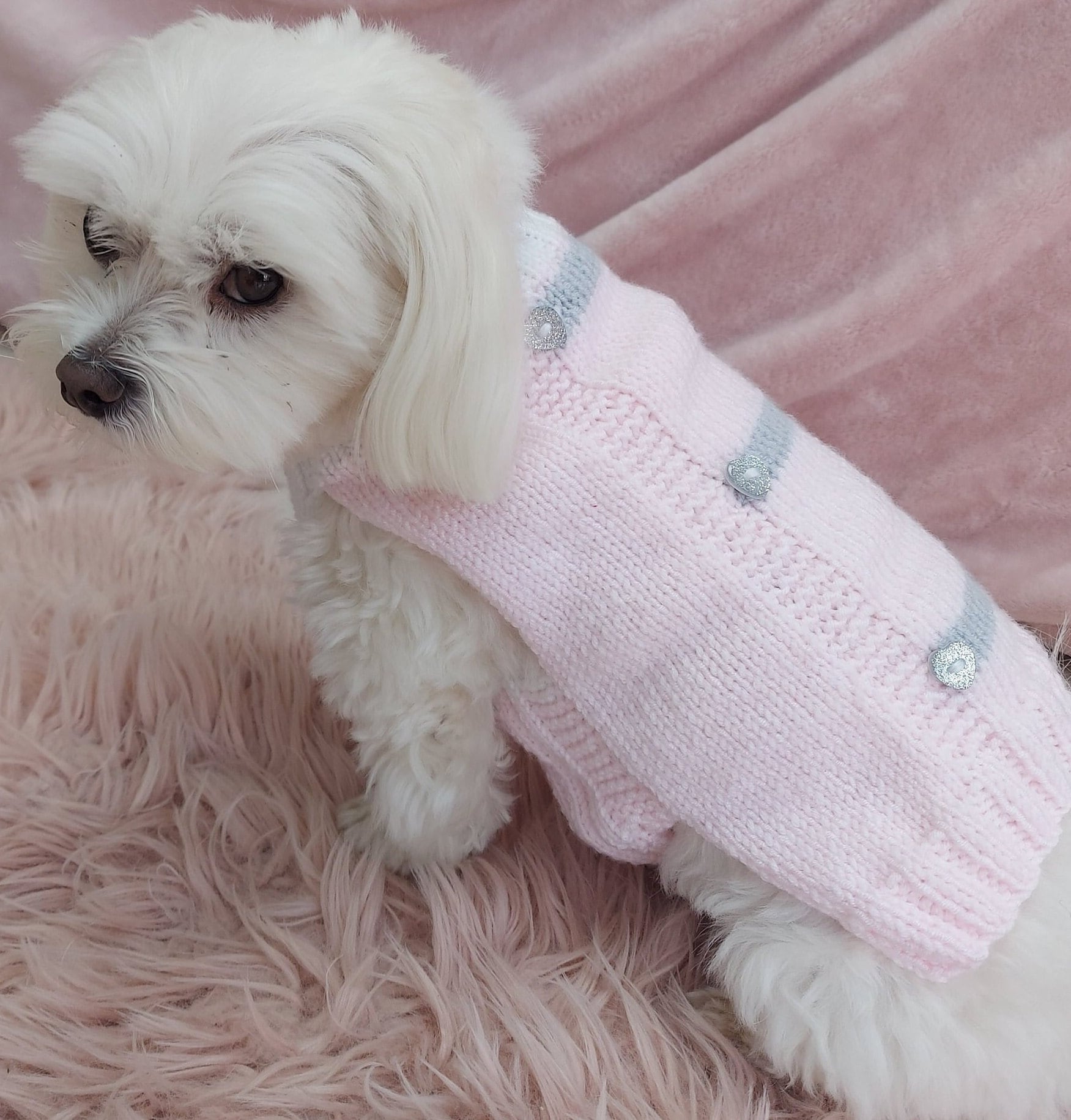 Dog Coat Knitting Pattern for Small Doginstant PDF Download Etsy UK